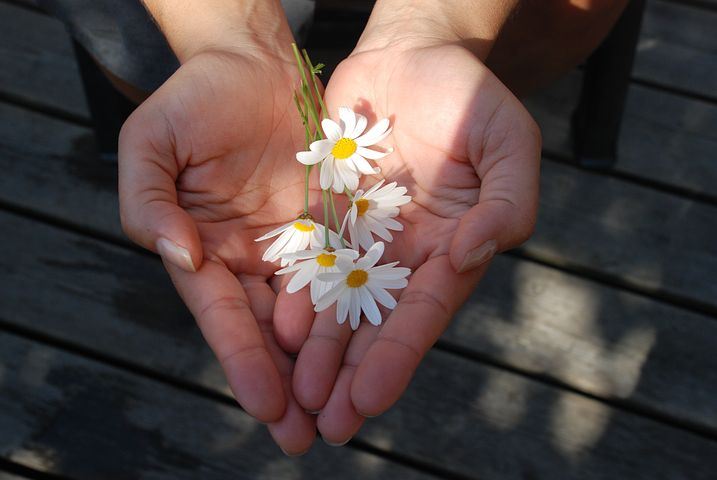 Flowers in Hands